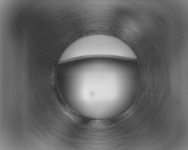 X0000070410082200606091006