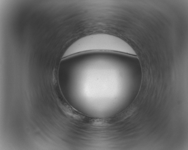 X0000070410088200606091006