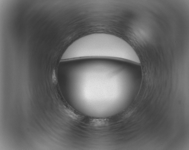 X0000070410089200606091006