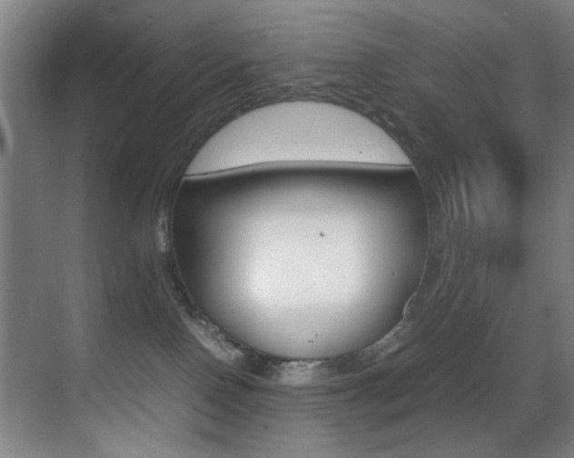 X0000070410090200606091006