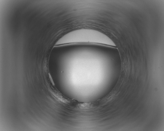 X0000070410092200606091007