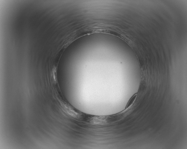 X0000070410094200606091007