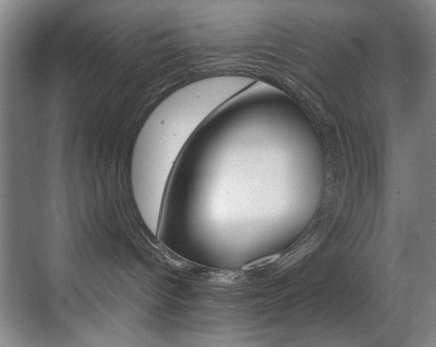 X0000070410096200606091007