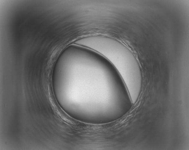 X0000070410097200606091006