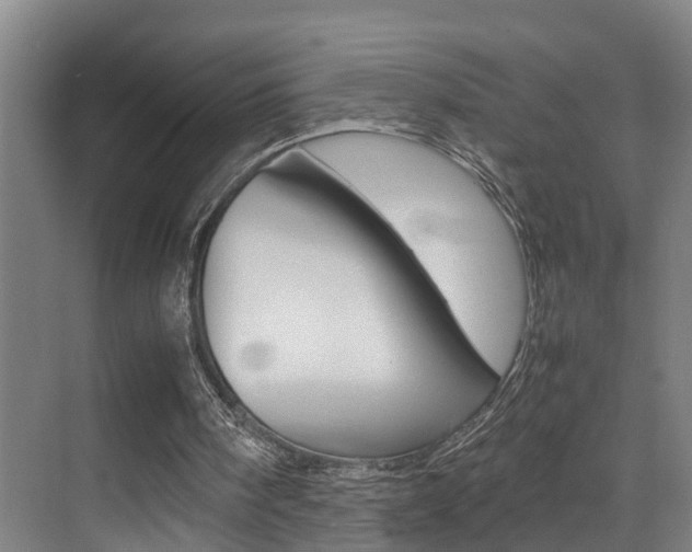 X0000070410098200606091006