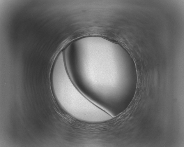 X0000070410099200606091006