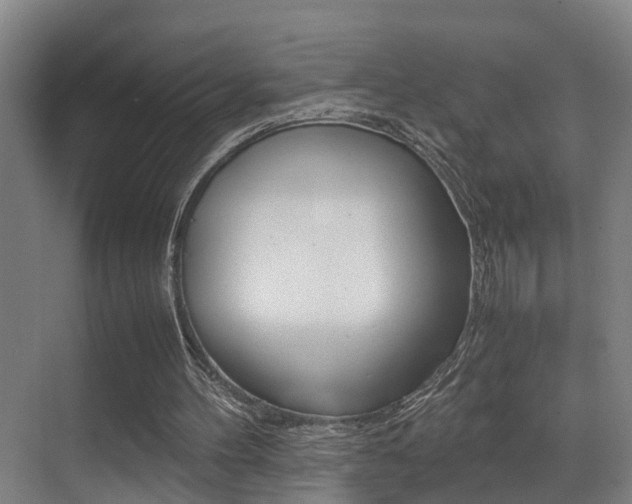 X0000070410100200606091006