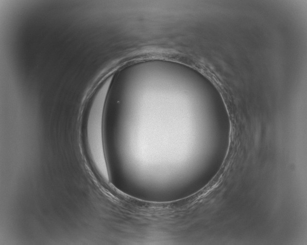 X0000070410101200606091006