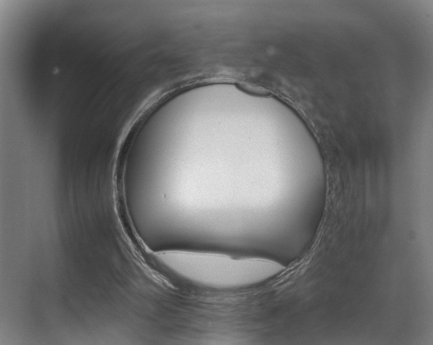 X0000070410102200606091006