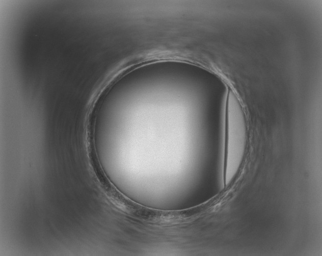 X0000070410103200606091006