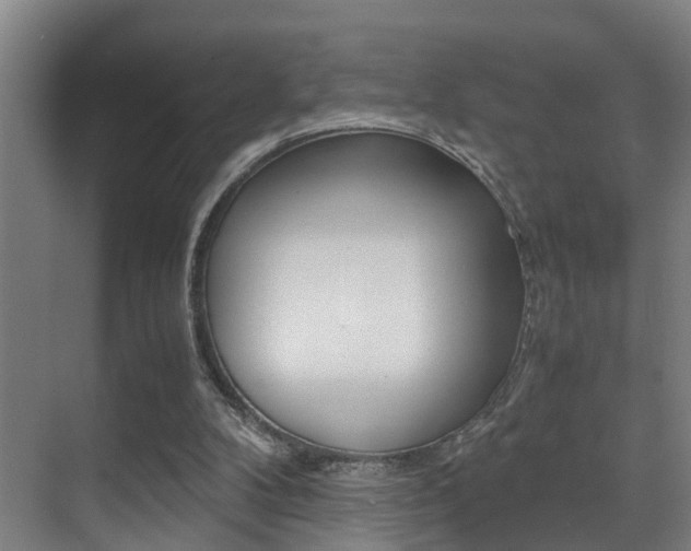 X0000070410104200606091006