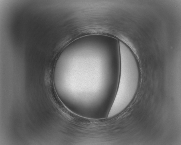 X0000070410105200606091006