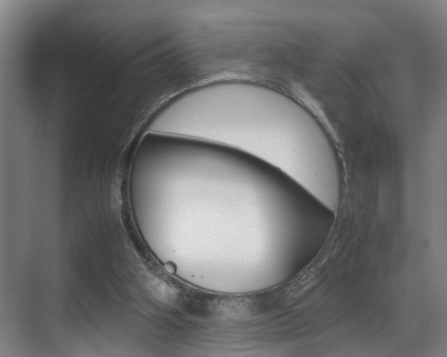 X0000070410106200606091006