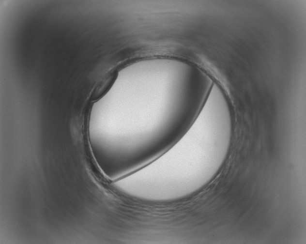 X0000070410107200606091006