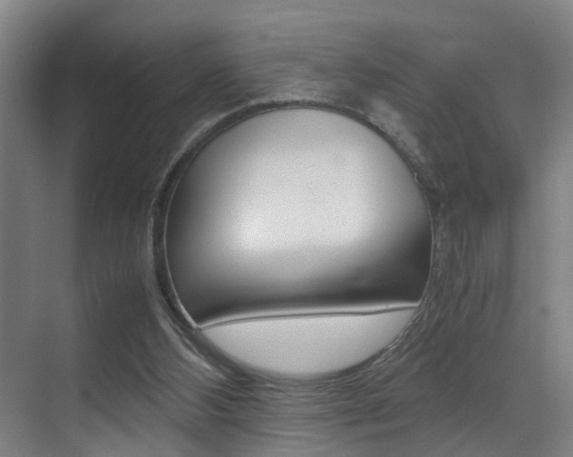 X0000070410108200606091006