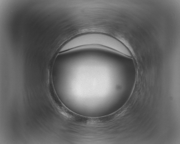 X0000070410109200606091006