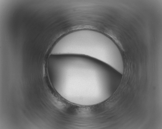 X0000070410110200606091006