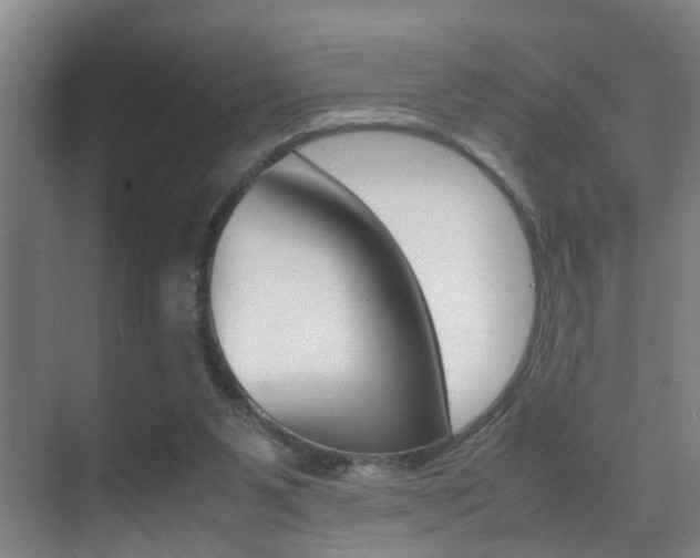 X0000070410111200606091006