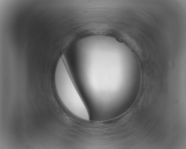 X0000070410113200606091005