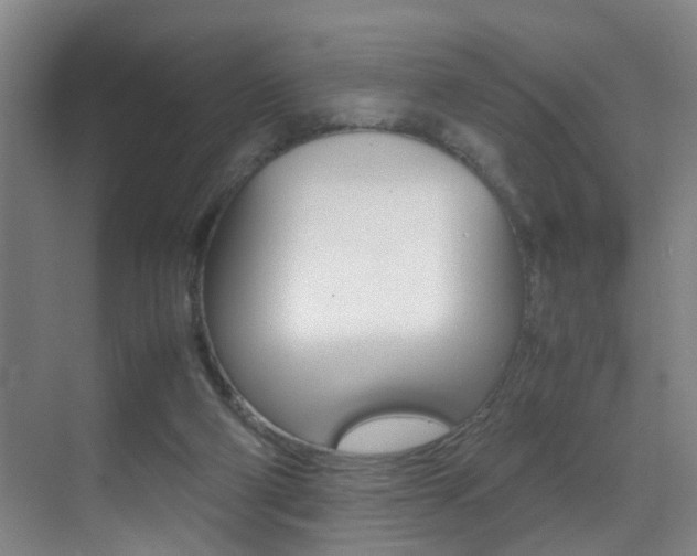 X0000070410114200606091005