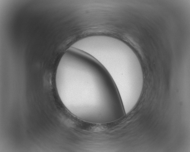 X0000070410115200606091005