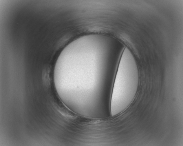 X0000070410116200606091005