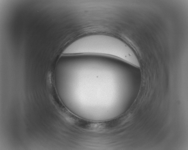 X0000070410117200606091005