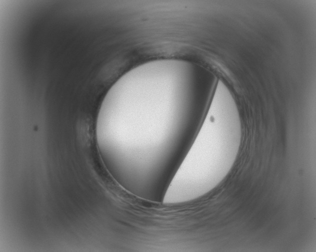 X0000070410119200606091005