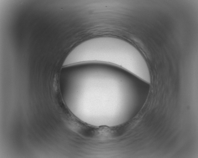 X0000070410121200606091005