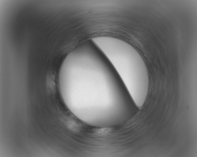 X0000070410122200606091005