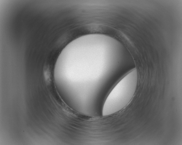 X0000070410124200606091005