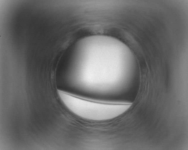 X0000070410125200606091005