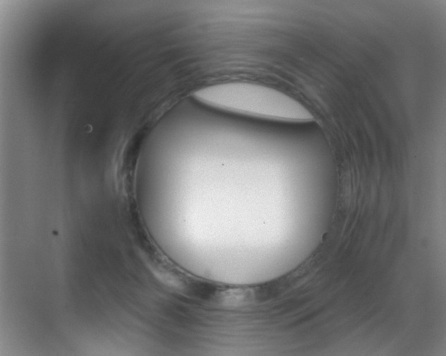 X0000070410126200606091005