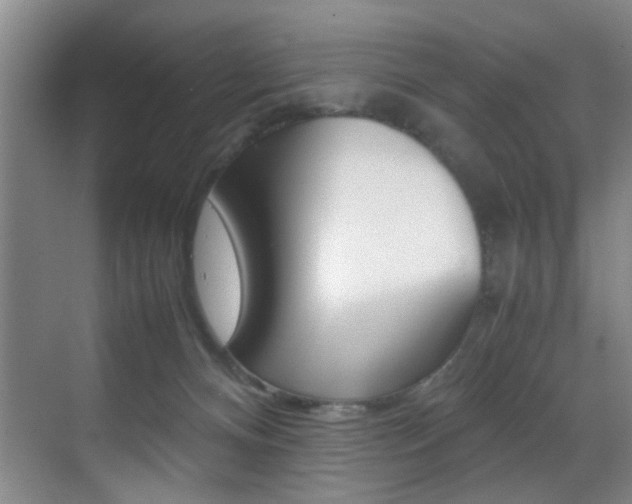 X0000070410128200606091005