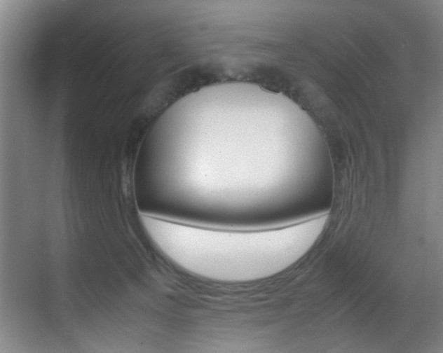 X0000070410129200606091005