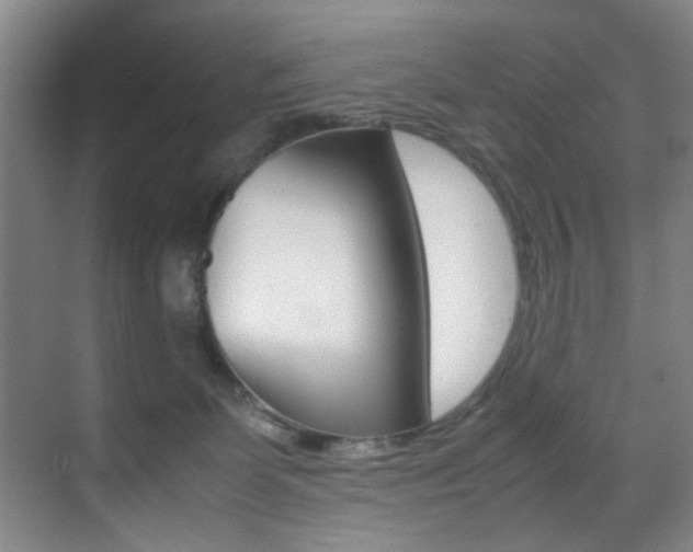 X0000070410131200606091005