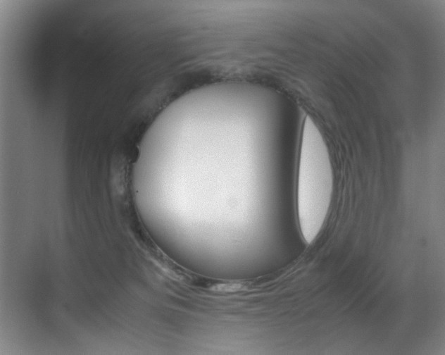 X0000070410133200606091005