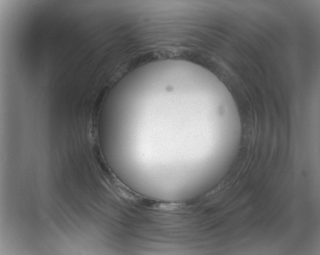 X0000070410134200606091005