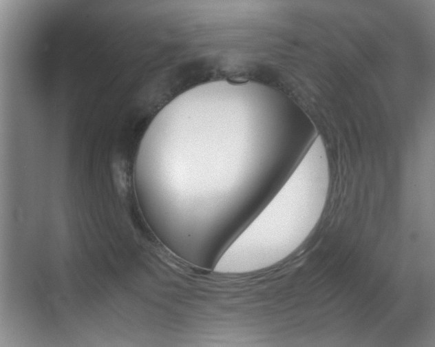 X0000070410135200606091005