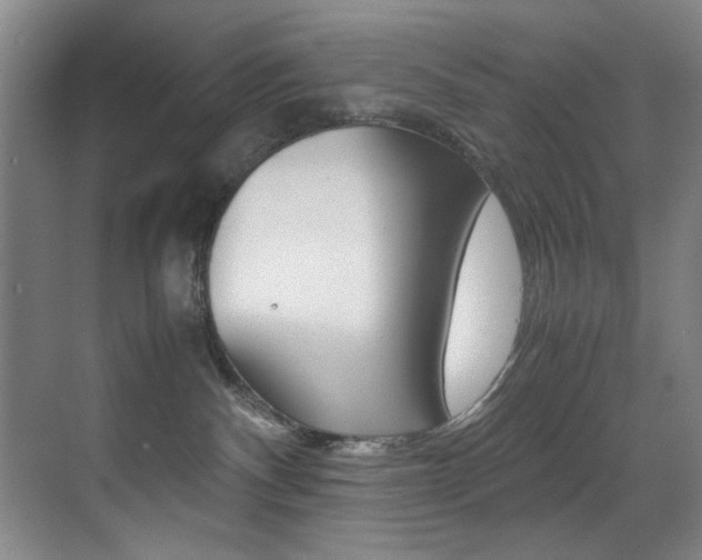 X0000070410140200606091005