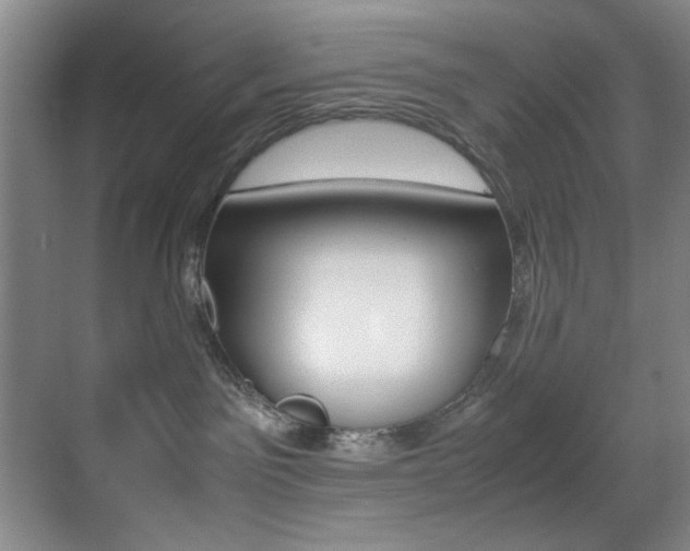 X0000070410141200606091005