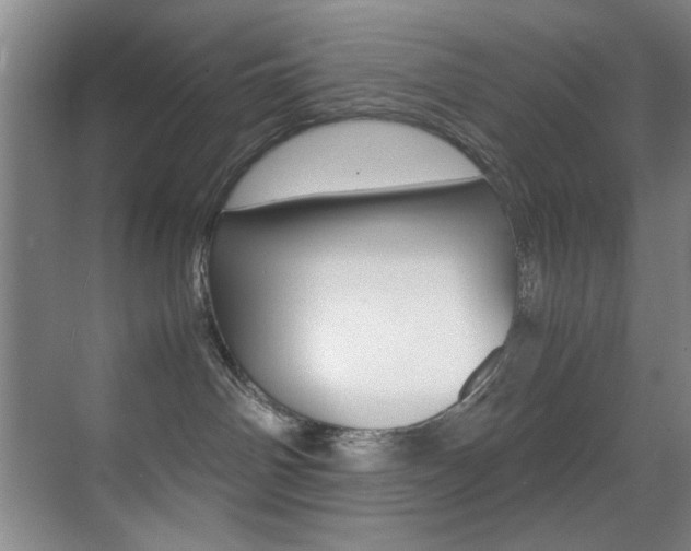 X0000070410142200606091005