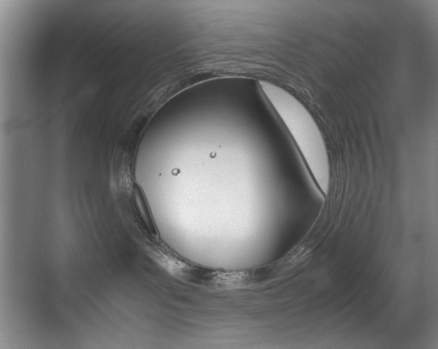 X0000070410143200606091005