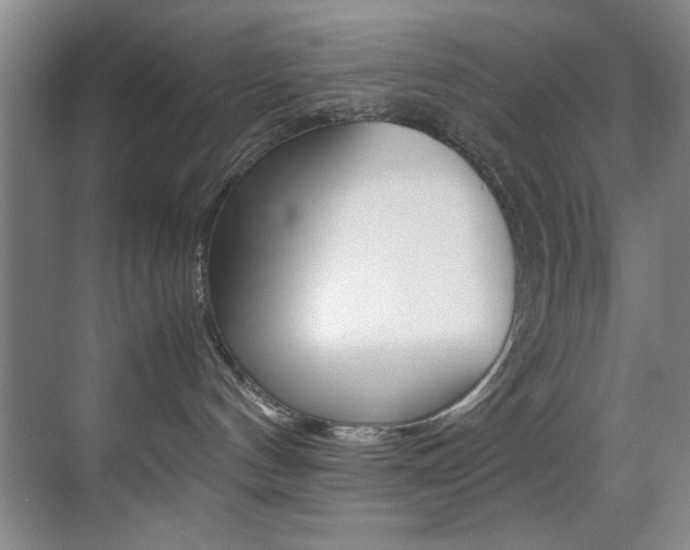 X0000070410144200606091005