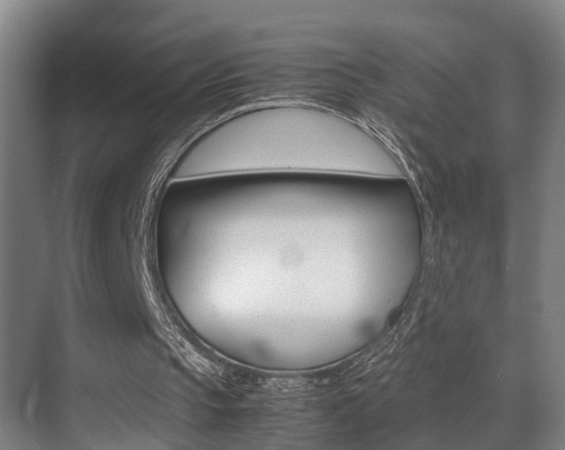 X0000070410145200606091004