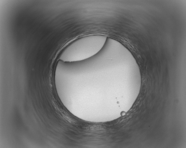 X0000070410146200606091004