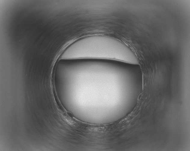 X0000070410147200606091004