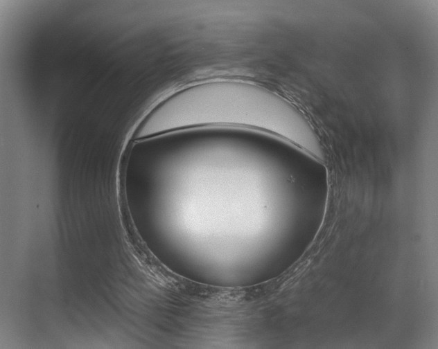 X0000070410148200606091004