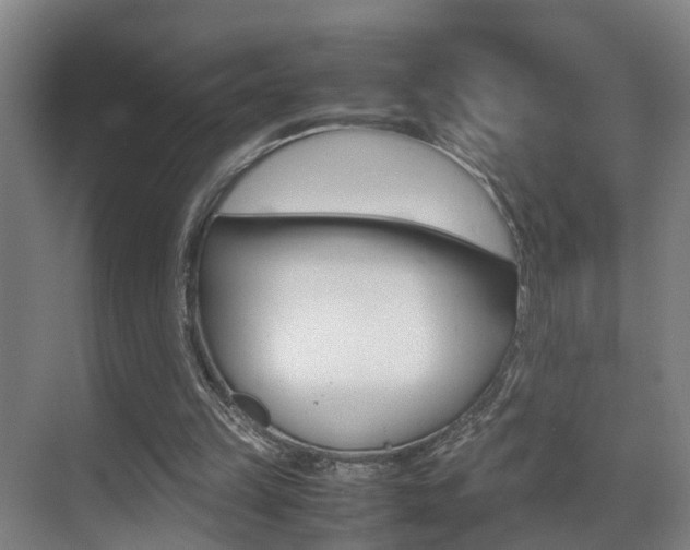 X0000070410149200606091004