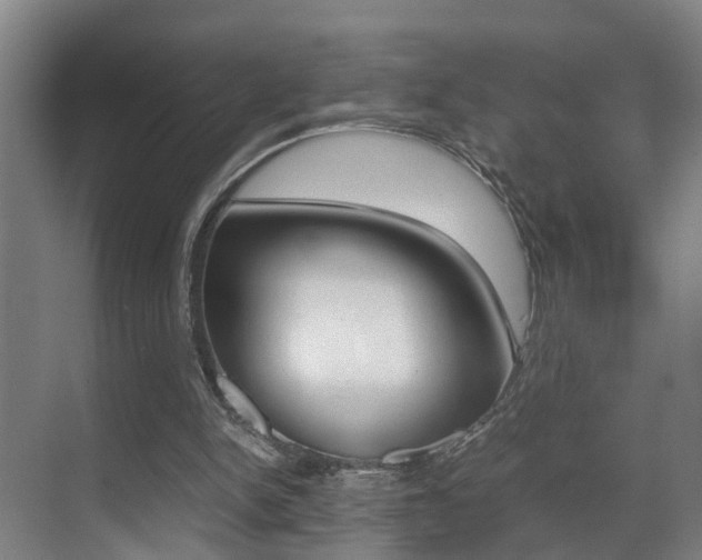 X0000070410150200606091004